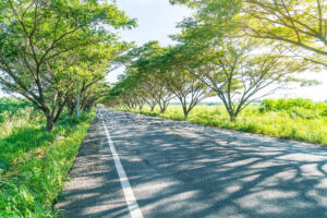 pascuas y las carreteras